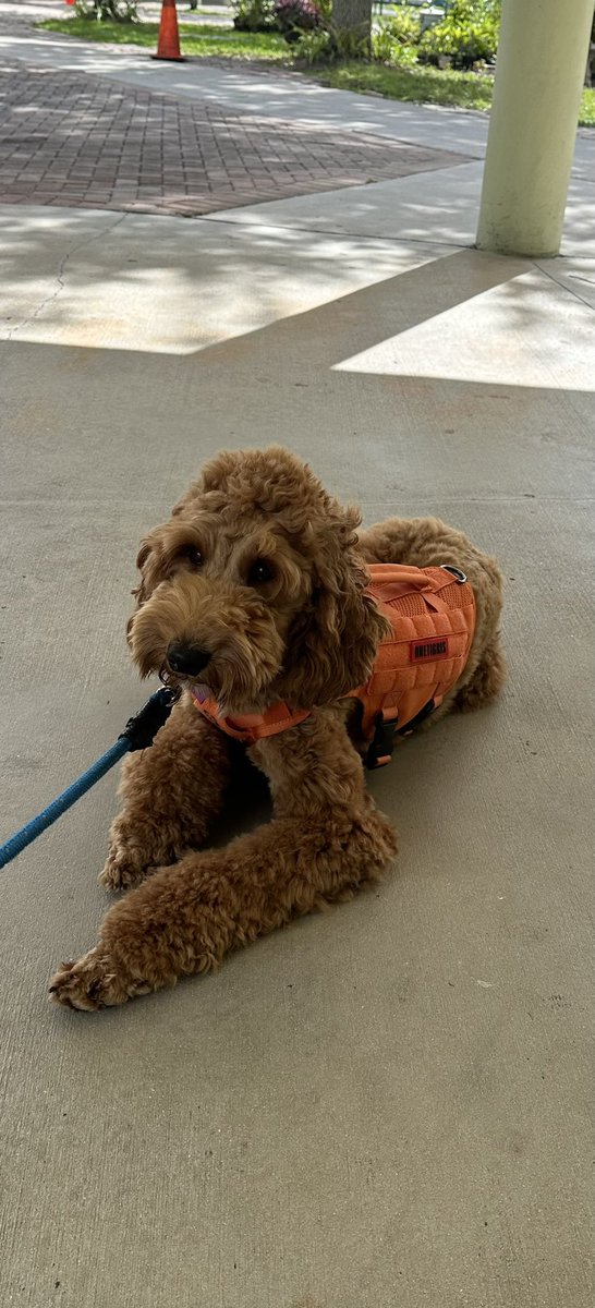 DeputySecW tweet media