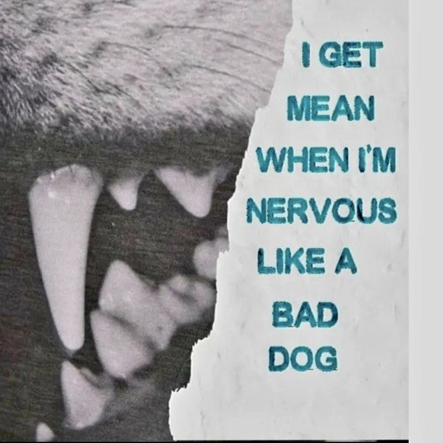 ⠀⠀⠀⠀‧₊˚ ┊͙ SOUNDWAVE  ˎˊ—𓆝𓆟𓆜  . . 
              ˗ˏˋ  THE  AUSTERE  RIGHT . ˎˊ˗