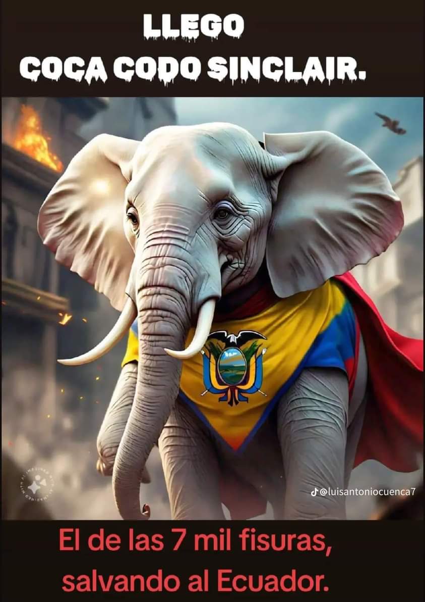 RRueda_Ermel's tweet image. 🆘GRAN ELEFANTE BLANCO CON 7 MIL FISURAS ILUMINA AL ECUADOR🆘🆘
#Excelente
Elefante blanco, #CocaCodoSinclair, salva a Ecuador, de los &quot;apagones&quot;. Llueve en Napo y Sucumbíos, con esto aumentan el caudal del #RíoCoca y Ecuador vuelve a tener energía.
