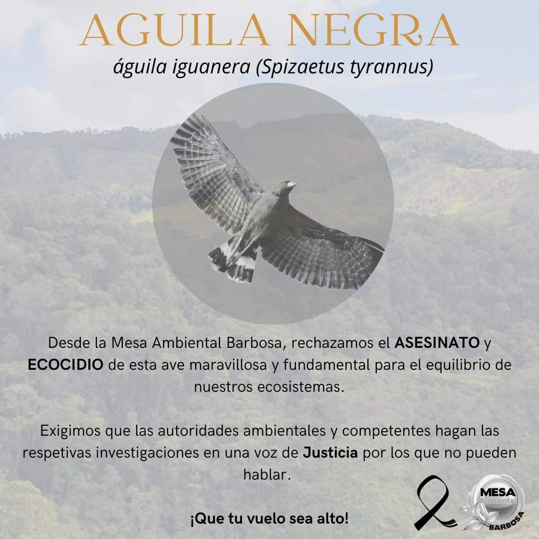 AmbMesa's tweet photo. @Areametropol @Corantioquia @BarbosAntioquia https://t.co/SV1JAJQfe3