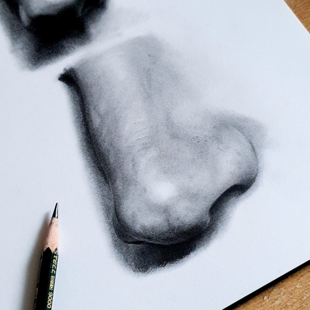 pkalsiart's tweet image. Quick study drawing of a nose, focusing more on the little details that gives depth &amp;amp; character. 

Drawn using graphite pencils only. 

#howtodraw #learntodraw #drawing #art #artist #artsy #arte #sketch #drawingstudies #trending #tutorial #nosedrawing #nosesketch #nosetutorial