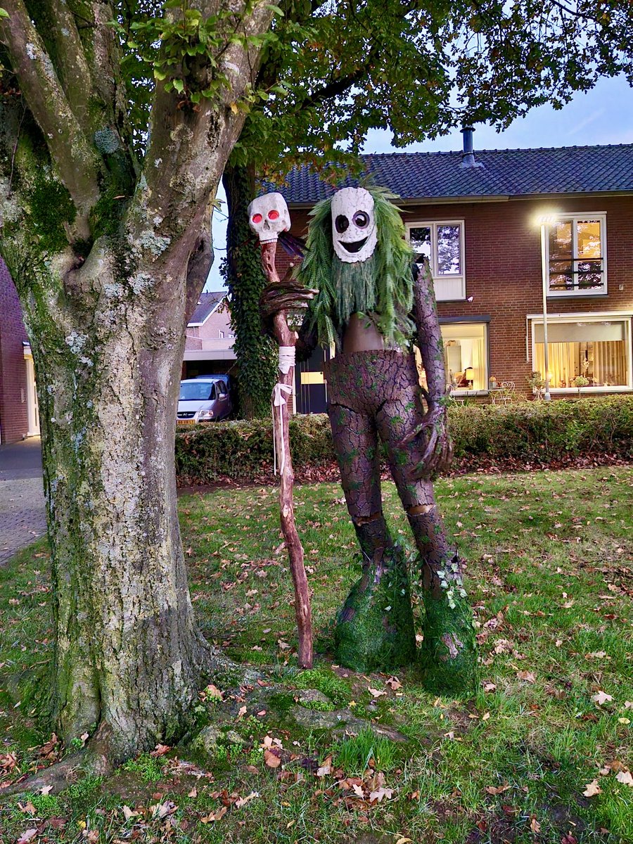 Steven Thewissen tweet media