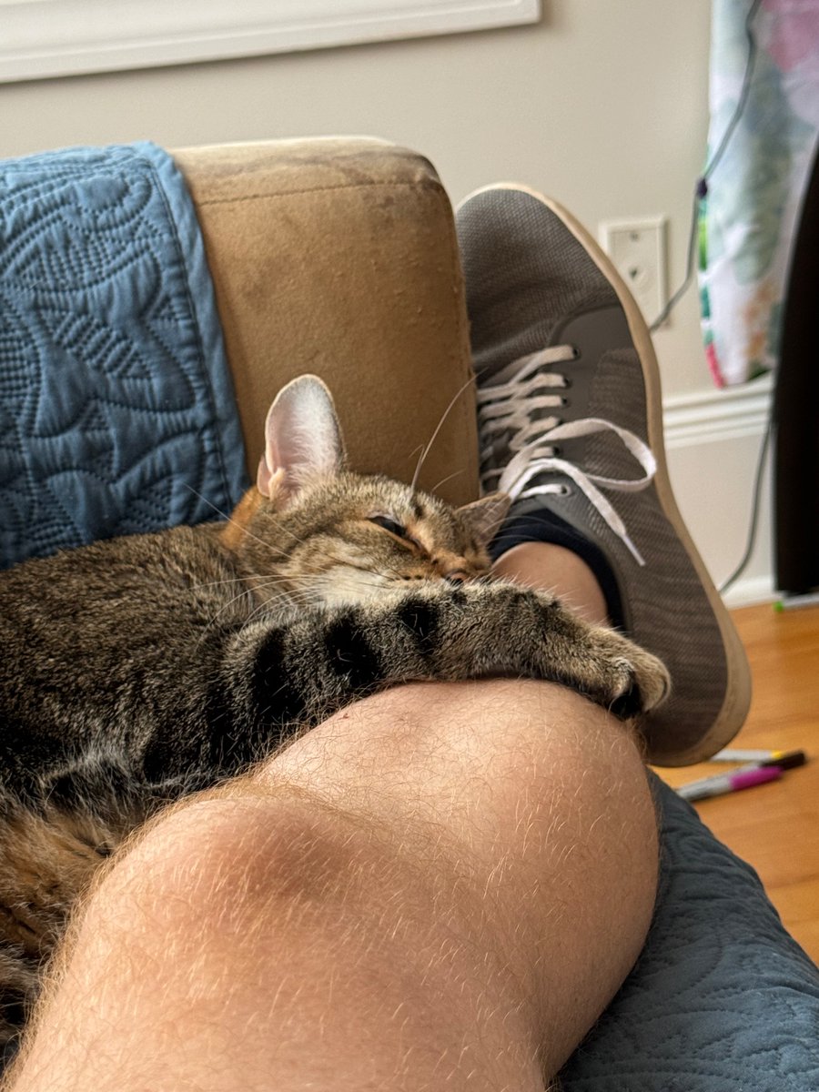 Born Slippy tweet media