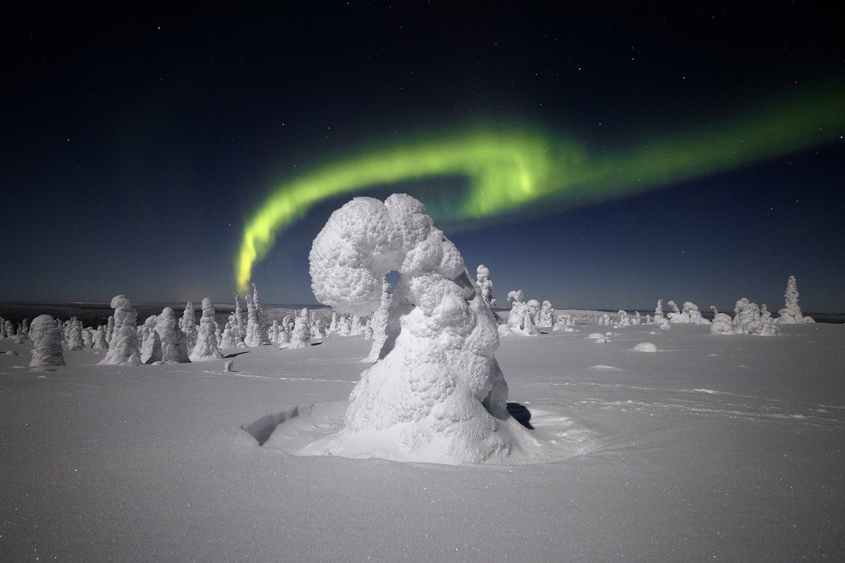 timsimp's tweet photo. @Lightroom Winter wonderland in Lappland. https://t.co/lT0tRYwNIu