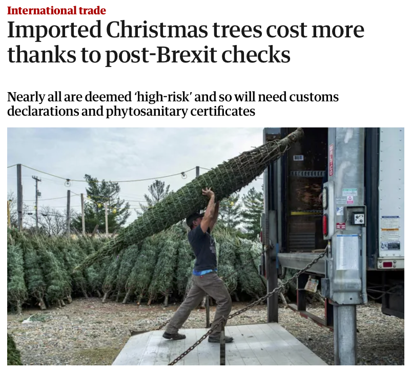 🇬🇧 "We've taken back control of our Christmas trees ! ..... (and having to pay a lot more for them🤡)🎄"