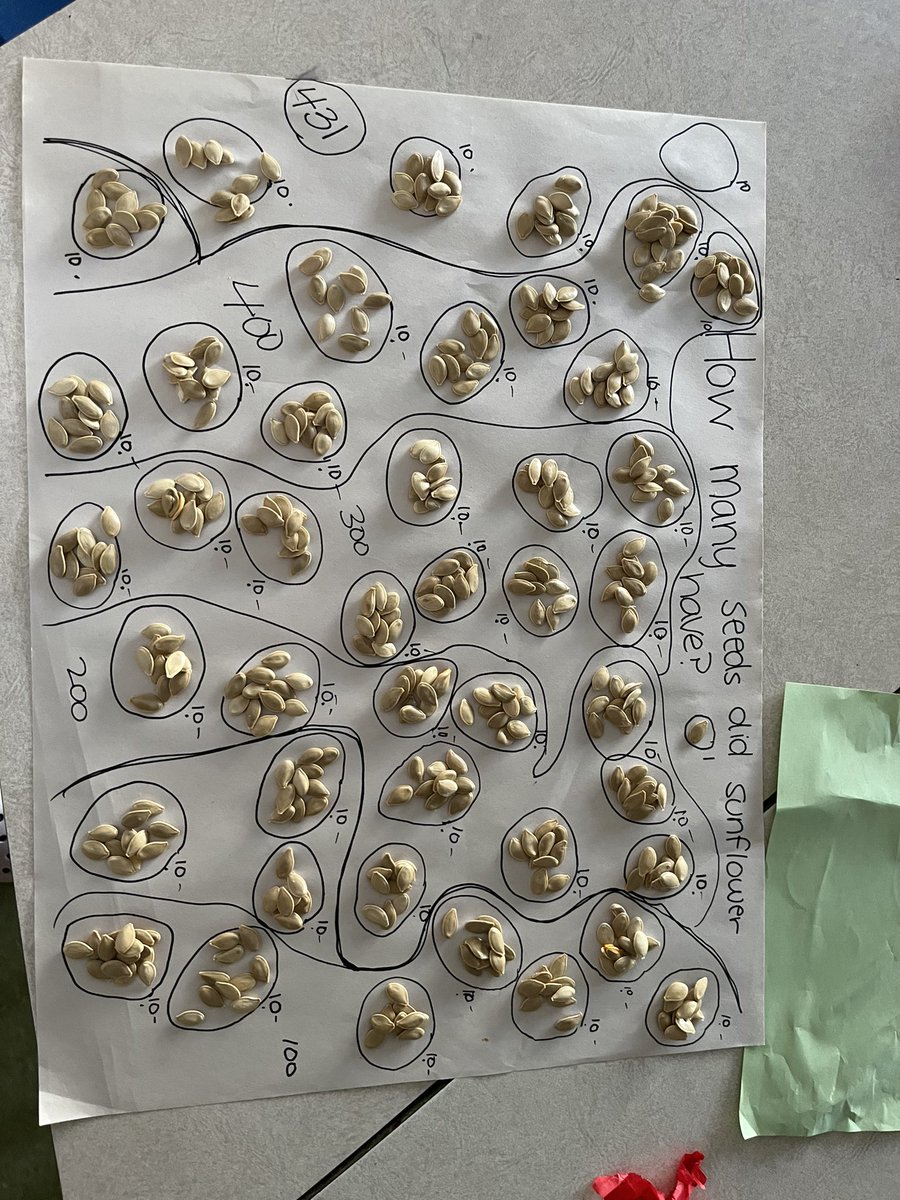 MissMertl's tweet photo. We made groups of 10 and counted 431 seeds that were inside our pumpkin named Sunflower! https://t.co/Mued3wxZ4d