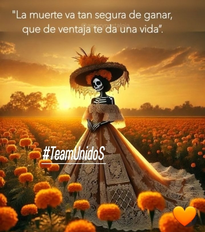 🇩🇴mamiRD_ #LoveDeMami❤ AmigosDe❤ (@mamird_) on Twitter photo 🧡#TeamUnidoS
<a href="/bordong2/">GΣЯΛ</a>
<a href="/Saori__M/">ღƪ(ˆ◡ˆ)ʃ♡ℳДƦîƝ இ️ ♡</a>
<a href="/ElBlondyRD/">DOMINGO MEJIA</a>
<a href="/mamiRD_/">🇩🇴mamiRD_ #LoveDeMami❤ AmigosDe❤</a>
💀
<a href="/srone82/">♥ 🏋️ 💪MIGUEL 💪 ♥</a>
<a href="/MECFR_FM/">@Ⓜ️Σ☪️🇫࿐ᶠ〽️</a>
<a href="/Juanchavez387_/">CHAVEZ🙋🏻♂️🙏🏻</a>
<a href="/insaurraldeh/">⭐POLI⭐ #MGWV⭐</a>
💀
<a href="/oscarforgioni/">Hector Oscar Spikerman</a>
<a href="/S2_CarlaS2/">꧁༺Carla༻꧂#EliFriends🇧🇷★✼☆</a>
<a href="/Luccy_007/">Lucy</a>
<a href="/fitoazul1/">fitoazul  #TFFLOVE</a>
<a href="/_lawonder/">༺ •✫ 𝘞𝘰𝘯𝘥𝘦𝘳 ✫• ༻</a>
💀
<a href="/Maiko_2111/">🥀᭄᭄ℳℳДƦîƝ 🥀᭄᭄</a>
<a href="/666_alhlwan/">🇸🇦🌴🆇𓃵💛MBS #Saleh666 MBS 🖤𓃵🌴🆇 🇸🇦</a>
<a href="/miarianmoreno/">MIRIAN_RD🇩🇴 #LoveDMami ❤AmigosD❤</a>
<a href="/aditi_kumari__/">Aditi kumari singh 🐬#1DDrive 🐬 #MGWV 🐬</a>
<a href="/vinaymishra1961/">VINAY</a>
<a href="/AliceUnidoSTeam/">Alice🇨🇵TeamUnidoS</a>
<a href="/onofrecuevas/">winter soldier</a> 🧡#TeamUnidoS
<a href="/bordong2/">GΣЯΛ</a>
<a href="/Saori__M/">ღƪ(ˆ◡ˆ)ʃ♡ℳДƦîƝ இ️ ♡</a>
<a href="/ElBlondyRD/">DOMINGO MEJIA</a>
<a href="/mamiRD_/">🇩🇴mamiRD_ #LoveDeMami❤ AmigosDe❤</a>
💀
<a href="/srone82/">♥ 🏋️ 💪MIGUEL 💪 ♥</a>
<a href="/MECFR_FM/">@Ⓜ️Σ☪️🇫࿐ᶠ〽️</a>
<a href="/Juanchavez387_/">CHAVEZ🙋🏻♂️🙏🏻</a>
<a href="/insaurraldeh/">⭐POLI⭐ #MGWV⭐</a>
💀
<a href="/oscarforgioni/">Hector Oscar Spikerman</a>
<a href="/S2_CarlaS2/">꧁༺Carla༻꧂#EliFriends🇧🇷★✼☆</a>
<a href="/Luccy_007/">Lucy</a>
<a href="/fitoazul1/">fitoazul  #TFFLOVE</a>
<a href="/_lawonder/">༺ •✫ 𝘞𝘰𝘯𝘥𝘦𝘳 ✫• ༻</a>
💀
<a href="/Maiko_2111/">🥀᭄᭄ℳℳДƦîƝ 🥀᭄᭄</a>
<a href="/666_alhlwan/">🇸🇦🌴🆇𓃵💛MBS #Saleh666 MBS 🖤𓃵🌴🆇 🇸🇦</a>
<a href="/miarianmoreno/">MIRIAN_RD🇩🇴 #LoveDMami ❤AmigosD❤</a>
<a href="/aditi_kumari__/">Aditi kumari singh 🐬#1DDrive 🐬 #MGWV 🐬</a>
<a href="/vinaymishra1961/">VINAY</a>
<a href="/AliceUnidoSTeam/">Alice🇨🇵TeamUnidoS</a>
<a href="/onofrecuevas/">winter soldier</a>