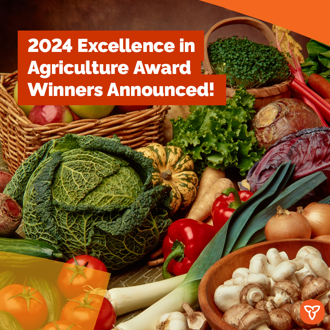 AgricultureON's tweet photo. Ontario is proud to recognize the recipients of the 2024 Excellence in Agriculture Awards. Learn more about their remarkable achievements here: https://t.co/2Nvds95hjN
#OntAg https://t.co/E9csouECAq