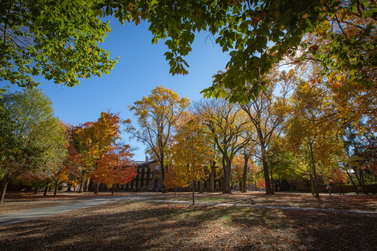NJGov's tweet image. fall in jersey&amp;gt;

📍 princeton