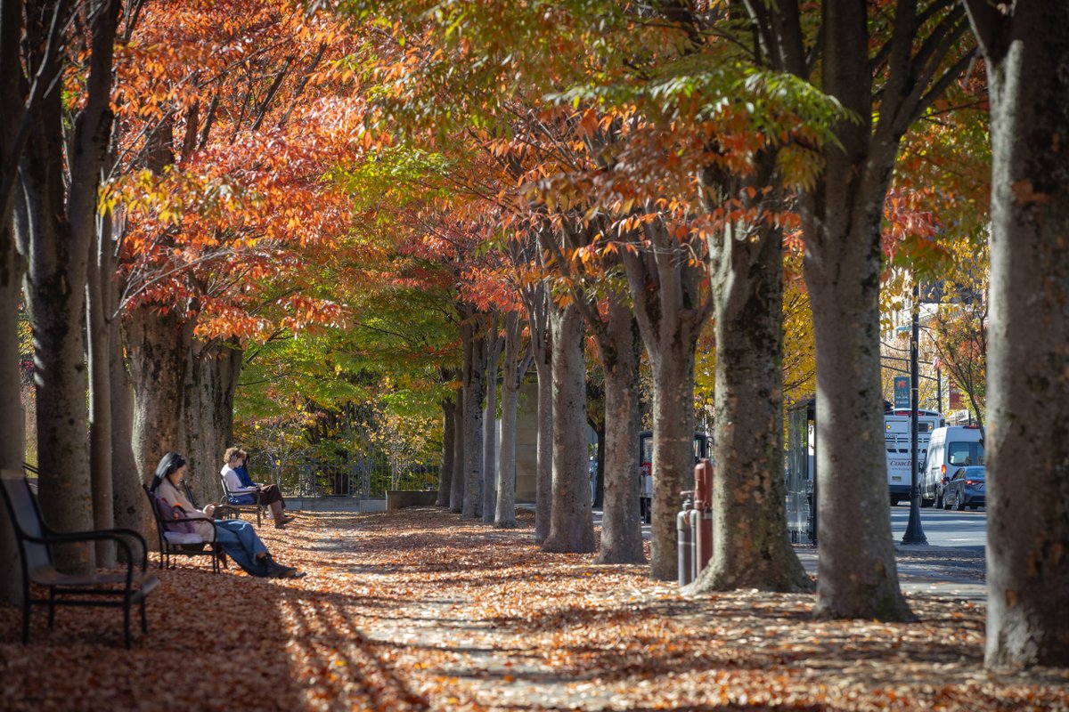 NJGov's tweet image. fall in jersey&amp;gt;

📍 princeton