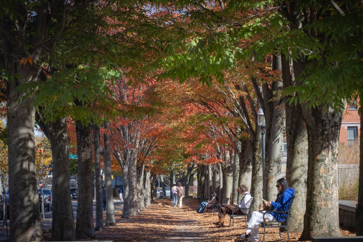 NJGov's tweet image. fall in jersey&amp;gt;

📍 princeton