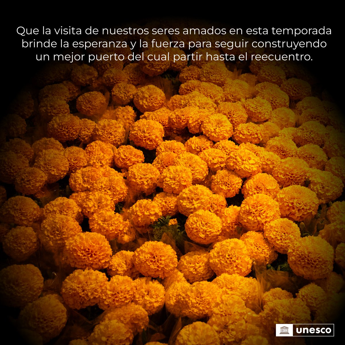 💮El #DíadeMuertos nos hace reflexionar y reafirmarnos como parte de una comunidad y del planeta🌎.

🕯️Que este mensaje permanezca presente y que las memorias de sus seres amados acompañen los anhelos y las acciones por un futuro mejor.