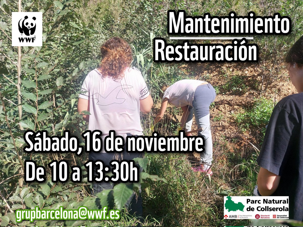 #TorrentDeCanyelles 
#Sábado16Nov
#parcnaturalcollserola

🟢 Actividad mensual de recuperación y restauración del Torrent de Canyelles: seguimiento de plantación, retirada de residuos, extracción de plantas invasoras, arreglos de caminos y alcorques

ecoviu.app/events/3267