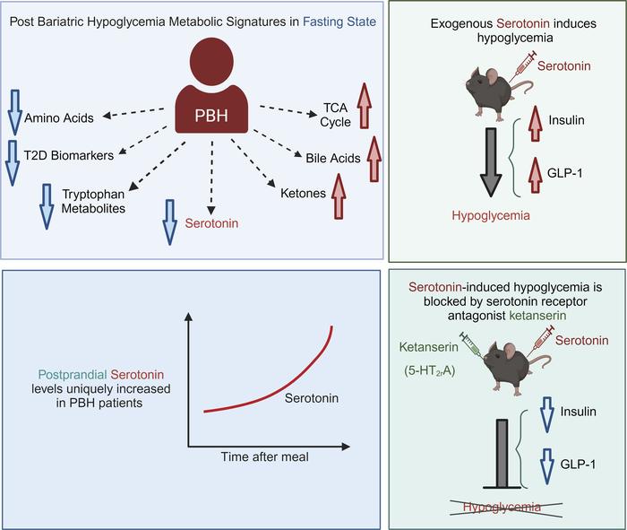 Journal of Clinical Investigation tweet media