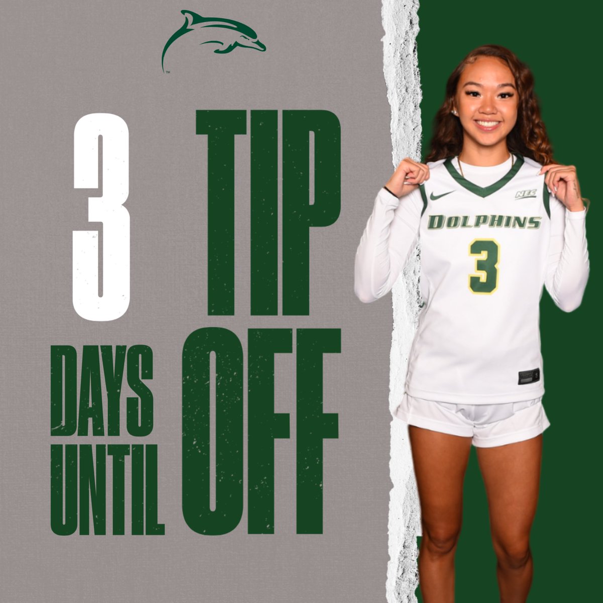 LeMoyneWBB's tweet photo. Just 3 days to go! 🐬

#PhinsUp #BigPhinEnergy https://t.co/9DeooO6dlF