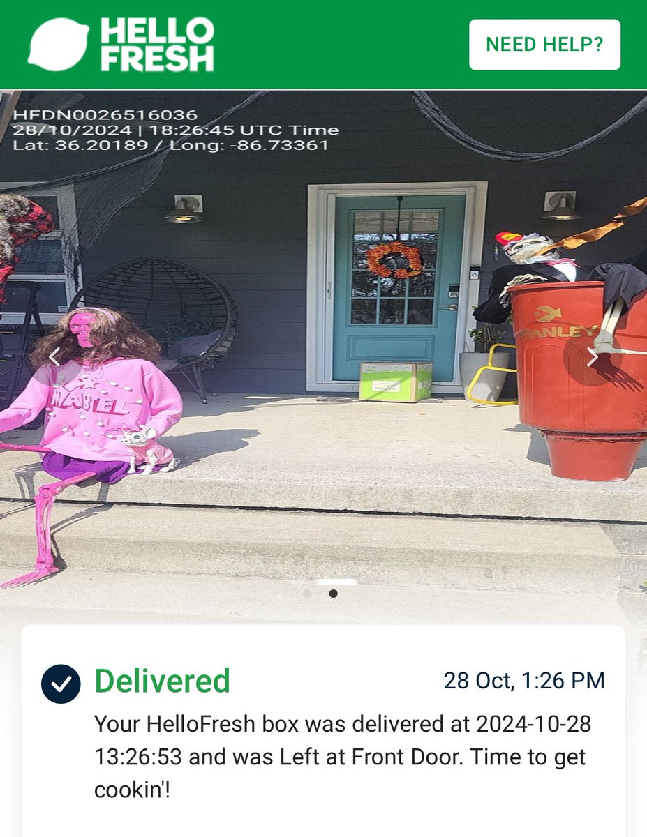 JennyEatWorld's tweet photo. Seems very on brand for #GravityFalls to have a very rainy Halloween, but the skeletons of GRAVE-ITY FALLS had a blast - and yes skeleton @_AlexHirsch made a cameo. Also particularly amusing to bomb our @amazon and @HelloFresh delivery pictures promoting #TheBookOfBill  😁 https://t.co/vNnnUxaARF