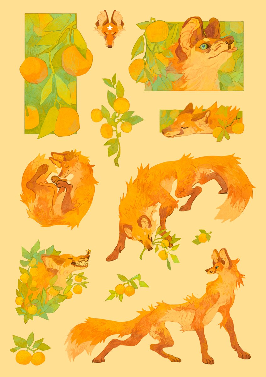 Fox.. FoxFoxfoxfox...🦊🍊