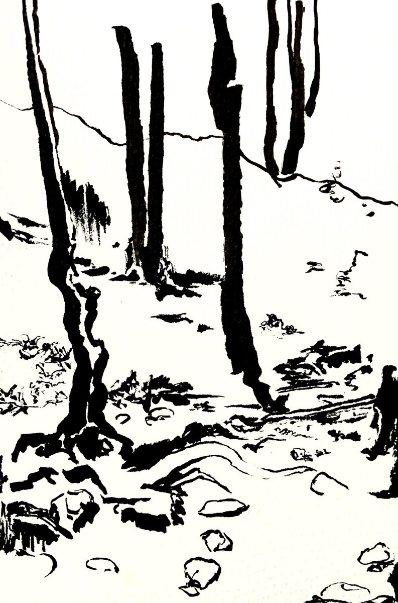 lustrous__sage's tweet photo. i love this one. i’ve always thought about adding color to it, but honestly I think it looks well enough in black and white #drawing #nature #pnw #hiking #blackandwhite #ink #minimalist #rkgk #art #ArtistsOfTwitter https://t.co/2n8wvrfnDo