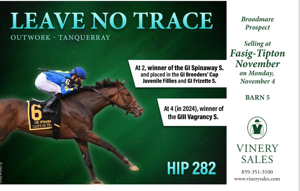 TDN (@thetdn) on Twitter photo Hip 282, GI winner and <a href="/BreedersCup/">Breeders' Cup</a> runner-up LEAVE NO TRACE, sells with <a href="/vinerysales/">Vinery Sales</a> at the <a href="/FasigTiptonCo/">Fasig-Tipton</a> November Sale ✨ fasigtipton.com Hip 282, GI winner and <a href="/BreedersCup/">Breeders' Cup</a> runner-up LEAVE NO TRACE, sells with <a href="/vinerysales/">Vinery Sales</a> at the <a href="/FasigTiptonCo/">Fasig-Tipton</a> November Sale ✨ fasigtipton.com