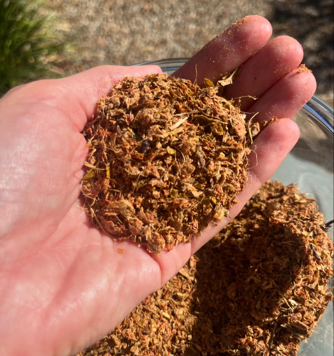 ecofriendlyfact's tweet image. We made some compost last night ☺️

We got a cold press juicer and an electric composter yesterday.

.
.
.
.
Read more  : ecofriendlyfact.com

#compost #composting #compostingiscool #composting101 #compostingisfun #gardening #gardeninglife #foraging