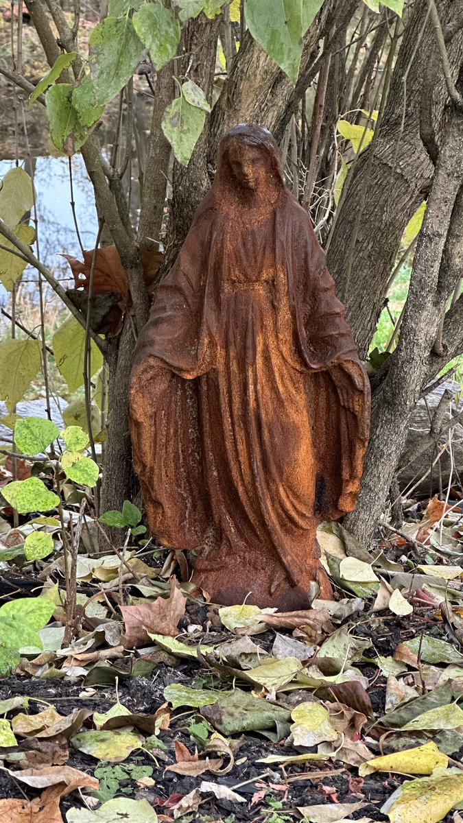 Scott Manning tweet media