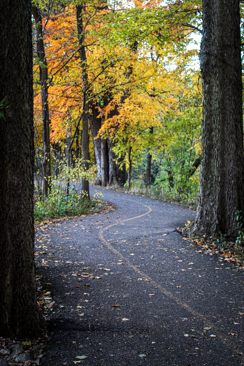 TamiLee7302's tweet photo. Fall is so beautiful 
#fallcolors #fall #nature https://t.co/1joPV9iNVD