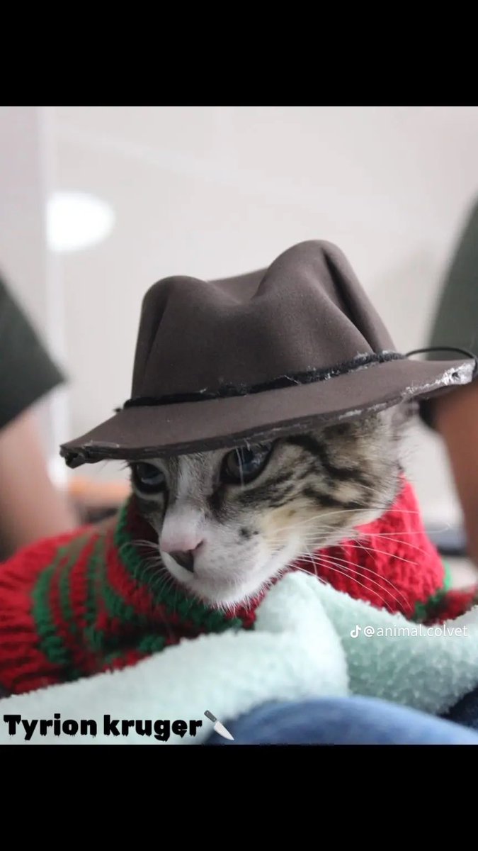 Punch Cat tweet media