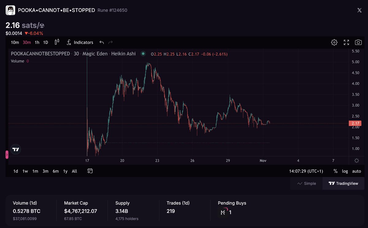 Bongo 🥁 tweet media