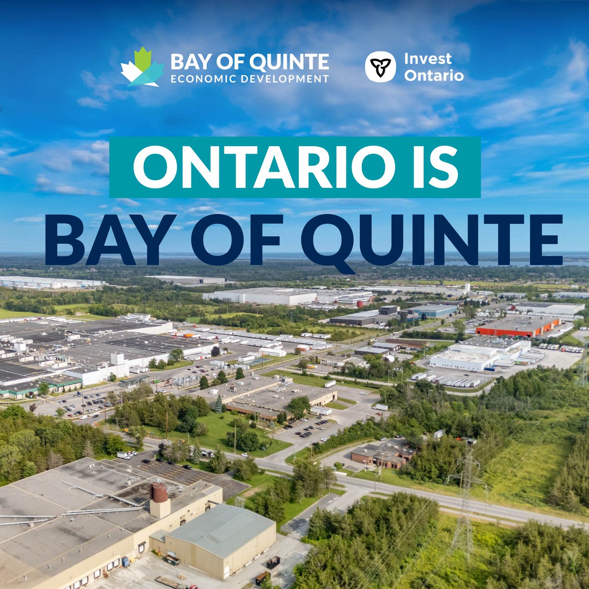 Invest Ontario tweet media