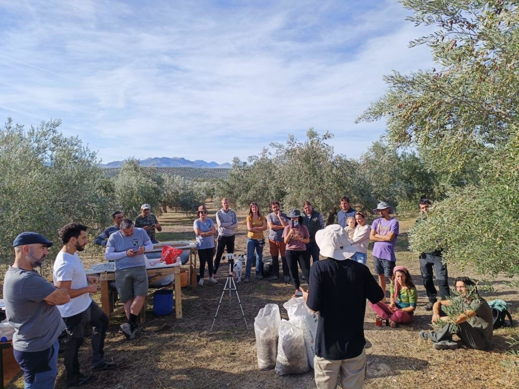almadepueblos's tweet photo. Escuela de Bosqueteros en #Úbeda, la agricultura resiliente y regenerativa

https://t.co/B1oVamUeJI

#agricultura #ecologia
@conde_onde https://t.co/1Zz9vWtAFC