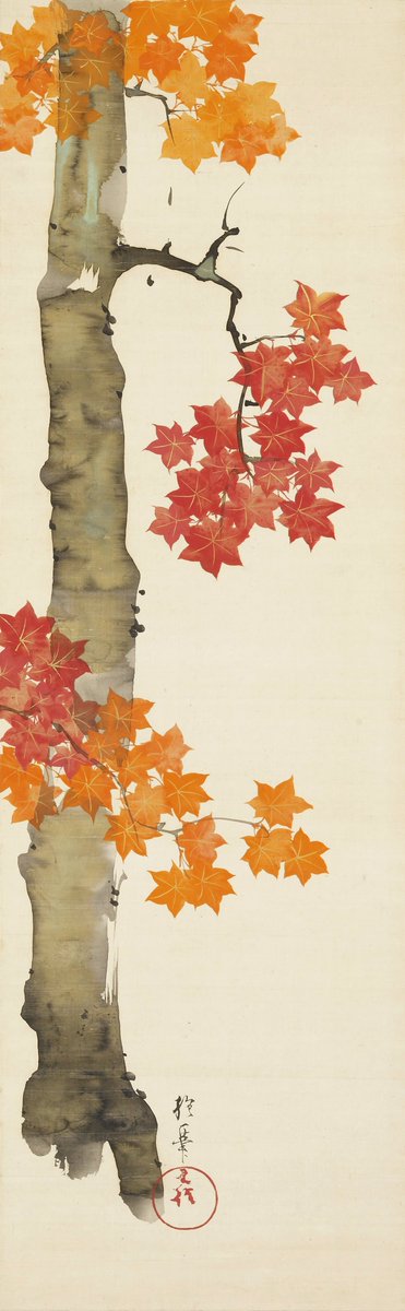 JapanTraCul's tweet image. Maple Tree, by Sakai Hōitsu, 19th century
