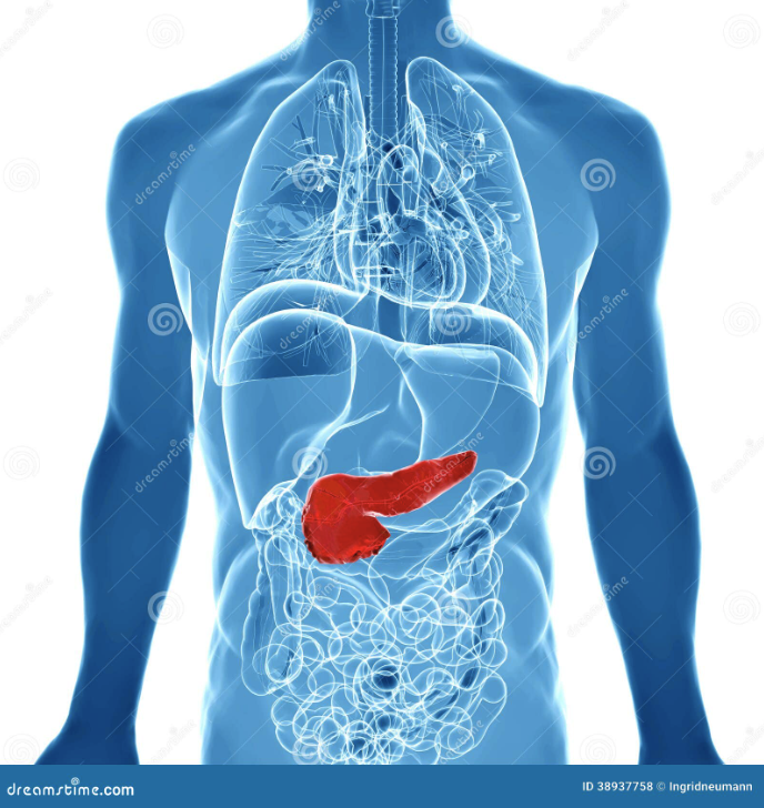 fisherhouse's tweet image. Understanding Stool Test Results: Parasites, Fat Absorption, and Pancreatic Health
livingbetteronline.blogspot.com/2024/11/treati…

#DigestiveHealth #PancreaticSupport #FatAbsorption #GutHealth #ParasiteTreatment #stooltest