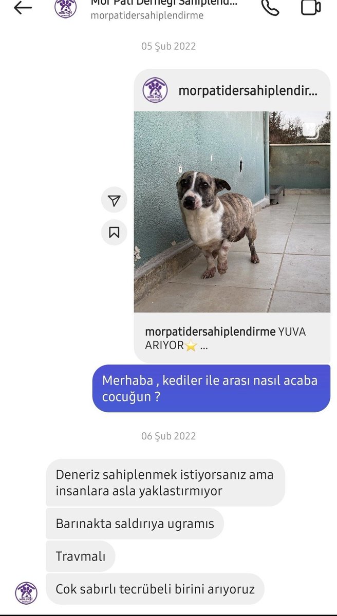 mtycontainerguy's tweet photo. Bundan oldu 2.5 sene önce https://t.co/7LUYCRMaSi