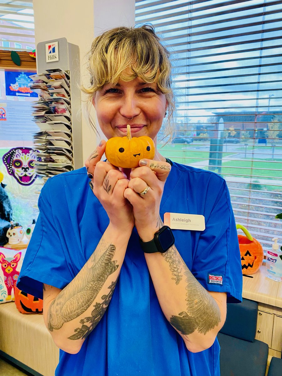 MedDistVetIL's tweet photo. Congratulations to the first, second, and third place winners of our pumpkin contest! 🎃

🔸 #VetAssistant Ariana – Pugkin
🔹 Client Services Veronica – Cactus
🔸 #VetTech Ashleigh - Vampire

#MedicalDistrictVetClinic https://t.co/tIVdCGYRDA
