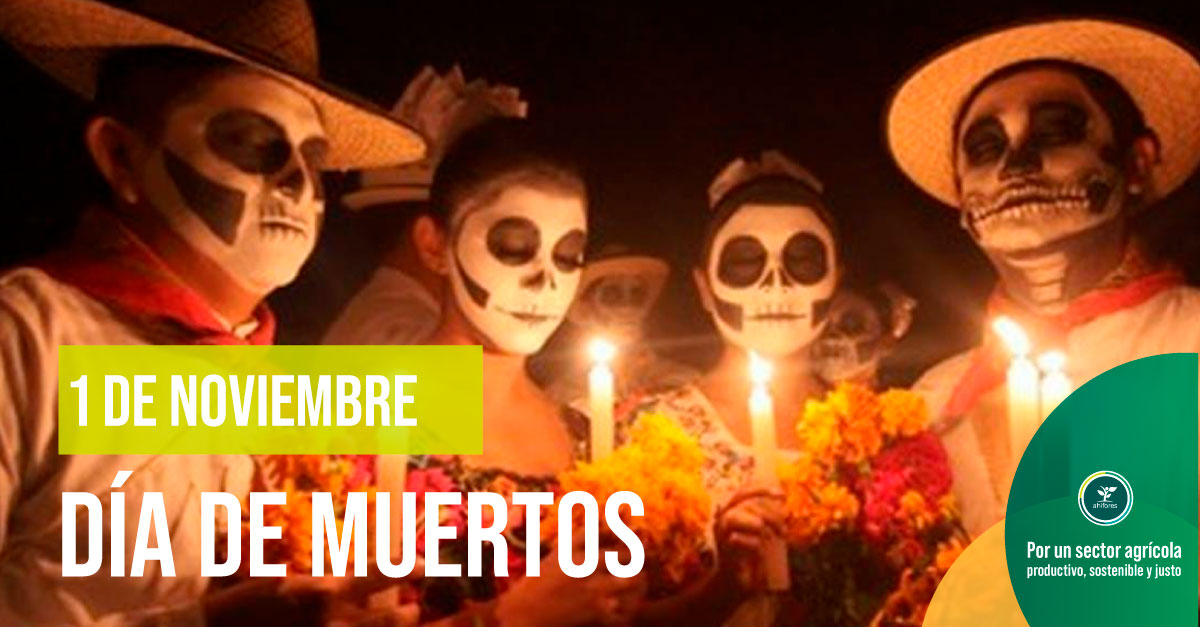 💀🌱Nuestras tradiciones se cultivan en Ahifores.🌱 

La celebración del Día de Muertos es una de las tradiciones más arraigadas en nuestro país, donde recordamos con cariño a nuestros seres queridos que nos han dejado.💖

#DiaDeMuertos #Ahifores #tradicionesmexicanas