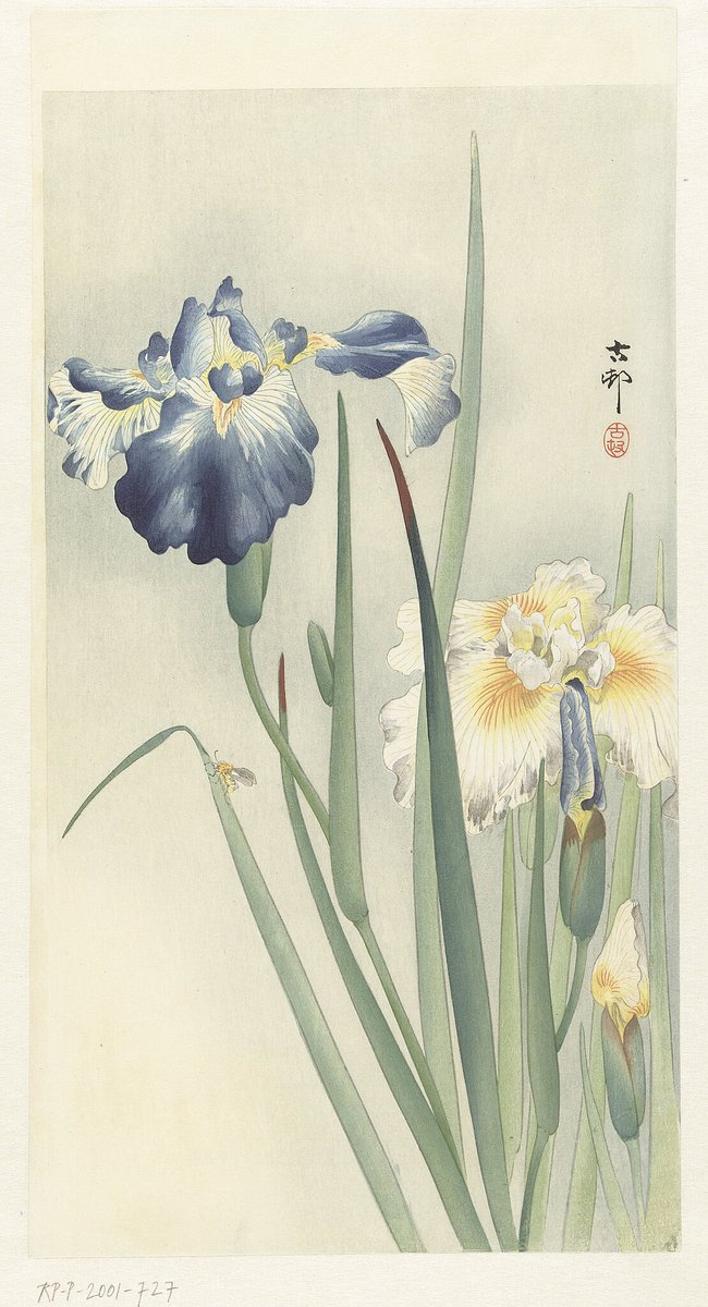 Irises, by Ohara Koson, 1900-1936