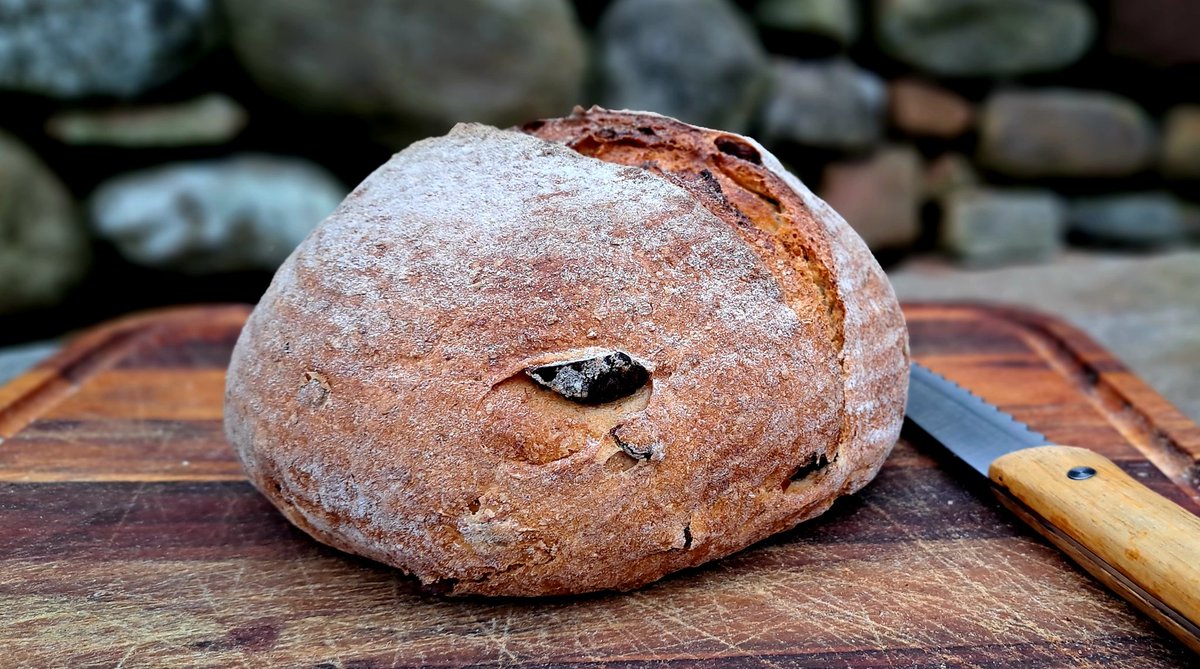 Ivycottagebaker's tweet image. Couple of these #seasonal #loaves out for the #tastetesting today #chestnut #bread #handmade #supportyourlocalbakery #useitorloseit #independentbusiness #knowyourfoodsource #freshlymade #freshbread #realbread #madetoorder #deliveryservice #microbakery #Brough #Cumbria