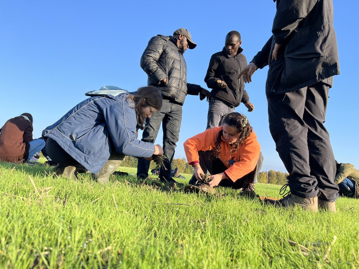 Jack Hannam tweet media