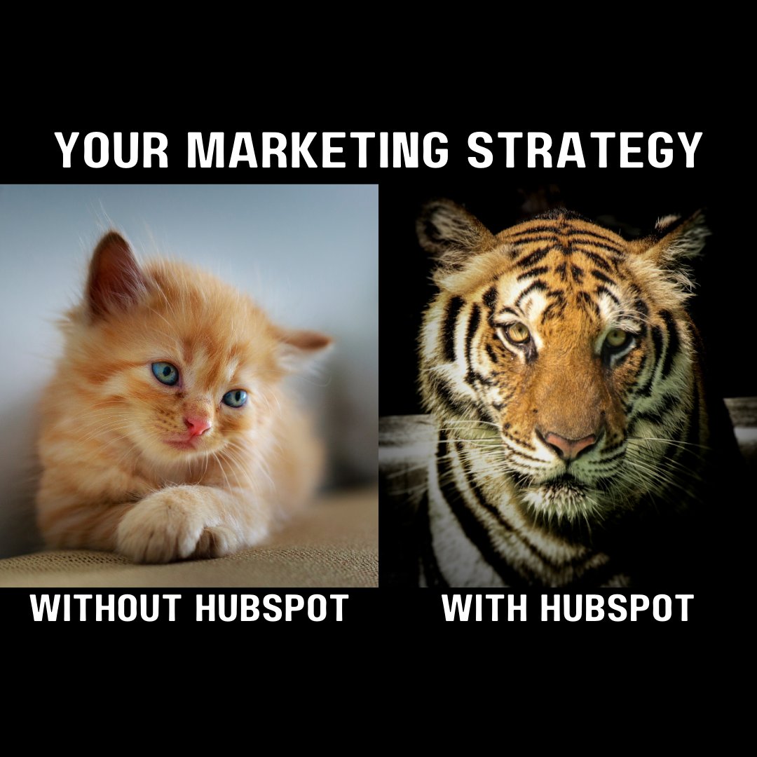 sambasci's tweet image. Unlock HubSpot’s full power—minus the learning curve. Let us handle the heavy lifting. 

Learn more: hubs.li/Q02SbcZq0 

#MarketingAutomation #BiotechSuccess #HubSpotMarketing