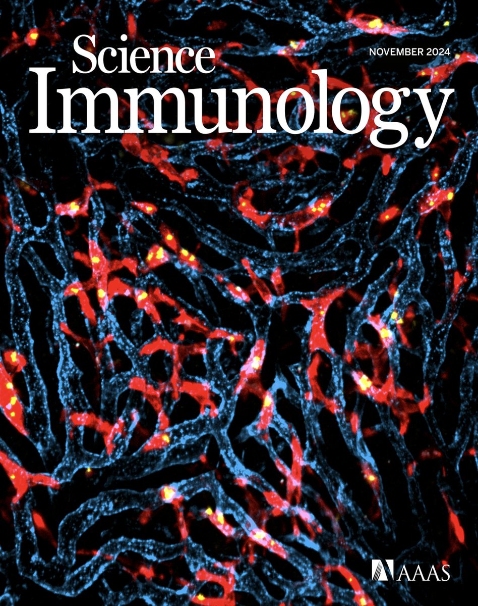 Bruna Araujo David (@brunaraujodavid) on Twitter photo I’m delighted to share my postdoc work is now out in <a href="/SciImmunology/">Science Immunology</a>!
We investigated the role of liver-resident macrophages, #Kupffercell, in newborn bacterial infections and their link to #sepsis and #meningitis, unveiling a surprising phenomenon.
science.org/doi/epdf/10.11… I’m delighted to share my postdoc work is now out in <a href="/SciImmunology/">Science Immunology</a>!
We investigated the role of liver-resident macrophages, #Kupffercell, in newborn bacterial infections and their link to #sepsis and #meningitis, unveiling a surprising phenomenon.
science.org/doi/epdf/10.11…