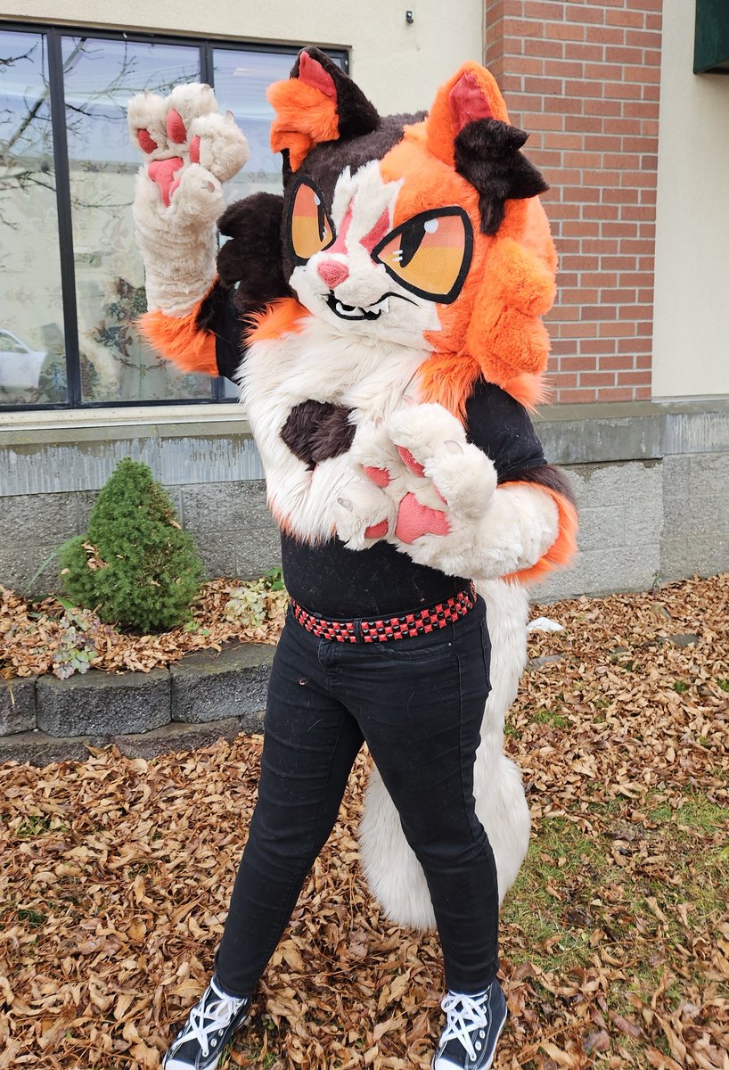 tacobelle404's tweet image. MAPLESHADE 🍁 finished partial fursuit!!!!