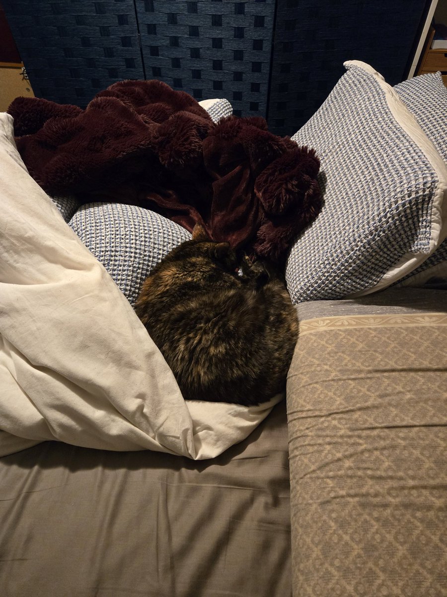 Soltirina_'s tweet photo. @potato_crisp I offer Luxio and Sage, enjoying the soft fall blankets https://t.co/WMdDOhtOdf