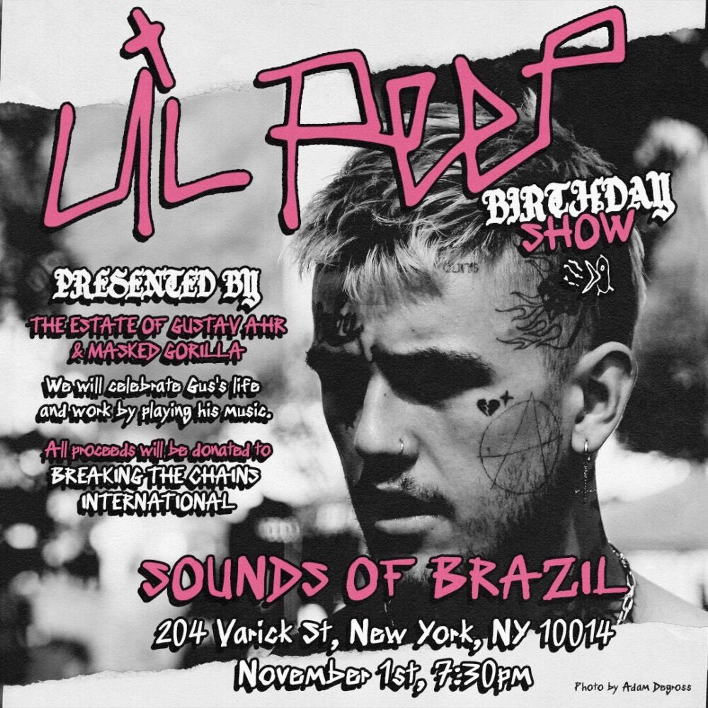 Masked Gorilla tweet media