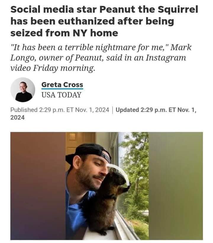 The government murdered Peanut.