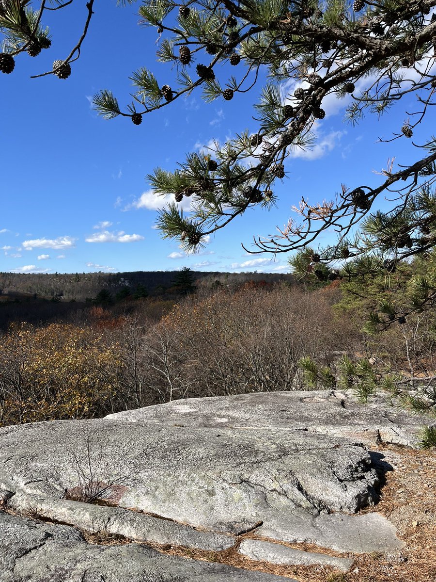 Approximation_1's tweet image. Gunks