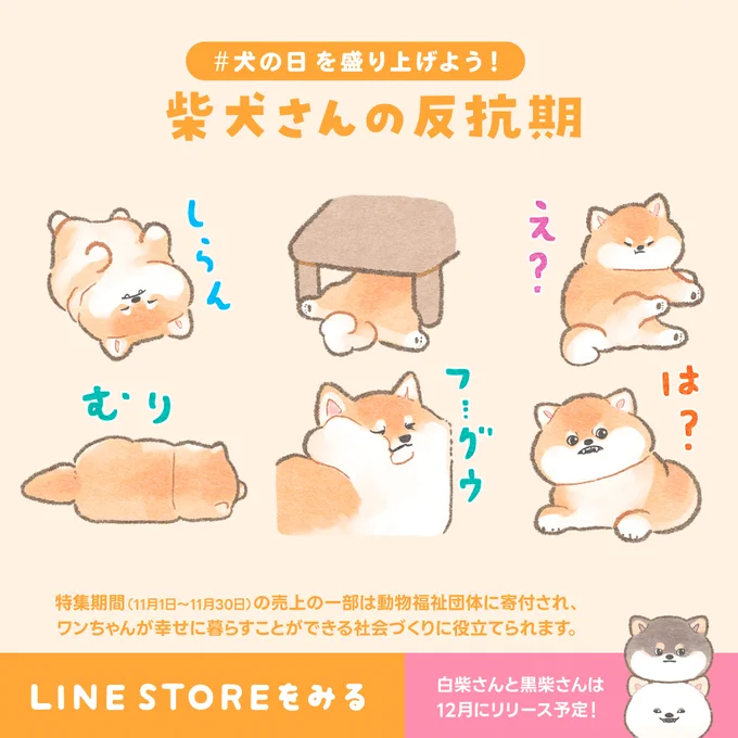 ✨🐶犬の日スタンプ第2弾🐶✨
柴犬さんシリーズの最新作✨
今回は反抗的で可愛い柴犬さんを詰め込みました。

売り上げの一部はワンちゃんの幸せな暮らしのために使われます🌈💝
https://t.co/lC5D0tcf0s

※黒柴さん・白柴さんは12月に通常スタンプとしてリリース予定
https://t.co/bbgOHbPLXR 