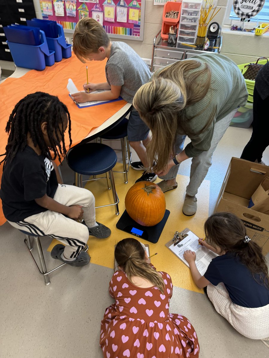 Kaila Lowe tweet media