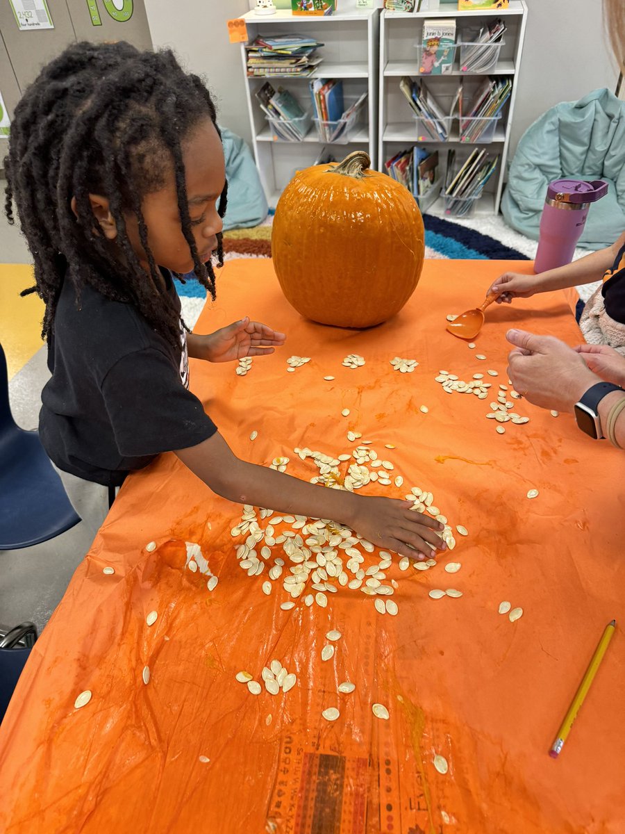 Kaila Lowe tweet media