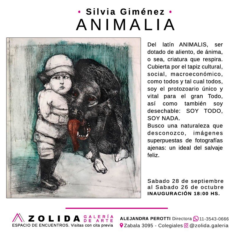 AlePerotti72's tweet image. Zolida🤍