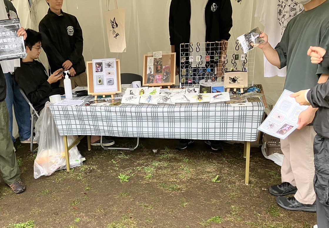 こんにちは、今日は収穫祭1日目です！文展も即売店も準備万端ですので、お気軽にお越しくださいね〜
文展は1306教室、即売店はCのテントです！

 #収穫祭  #昆虫学研究室  #東京農業大学  #昆研収穫祭2024